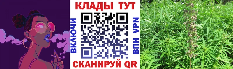 Названия наркотиков Звенигово МАРИХУАНА Cocaine kraken Гашиш