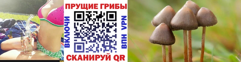 Галлюциногенные грибы ЛСД цена Звенигово
